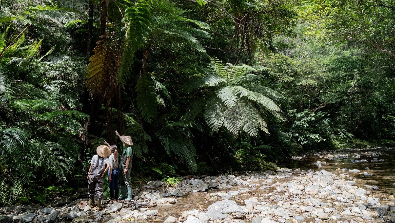 Treeful Treehouse Sustainable Resortの公式サイトに掲載された実際の施設写真